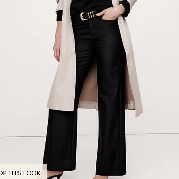 Banana Republic LIDO WIDE-LEG ITALIAN WOOL PANT, NWT, size 12 - Picture 2 of 6